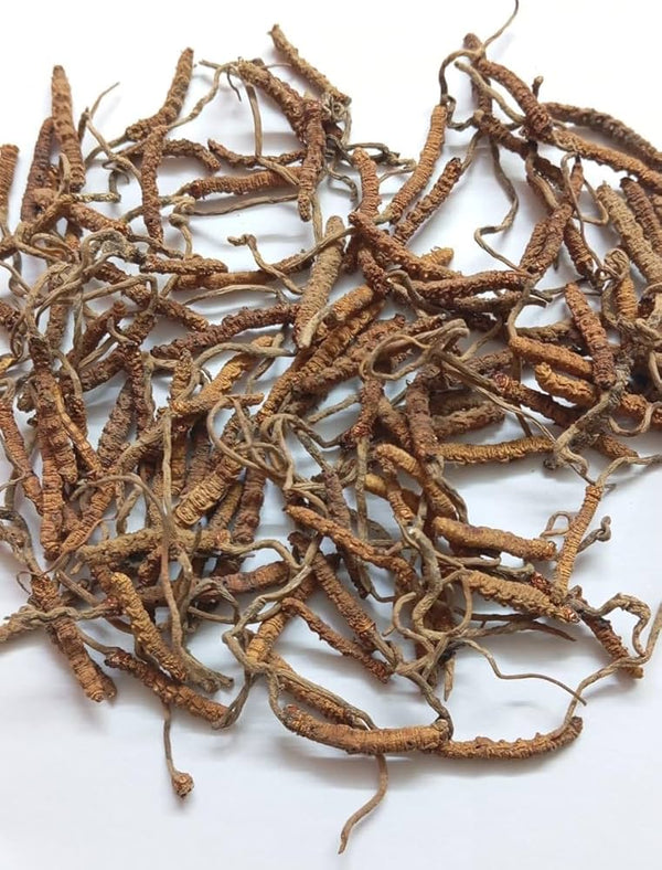 Keeda Jadi Original | Low Altitude l Cordyceps Sinensis (Yarsagumba) | Premium Himalayan Caterpillar Fungus | Traditionally Used for Vitality, Stamina & Daily Wellness | Sourced from Uttarakhand