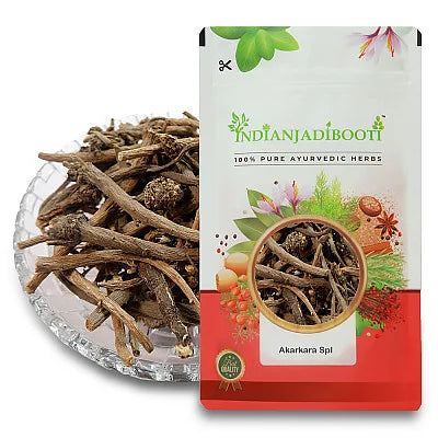 Akarkara Root – Pellitory Root (Anacyclus pyrethrum)