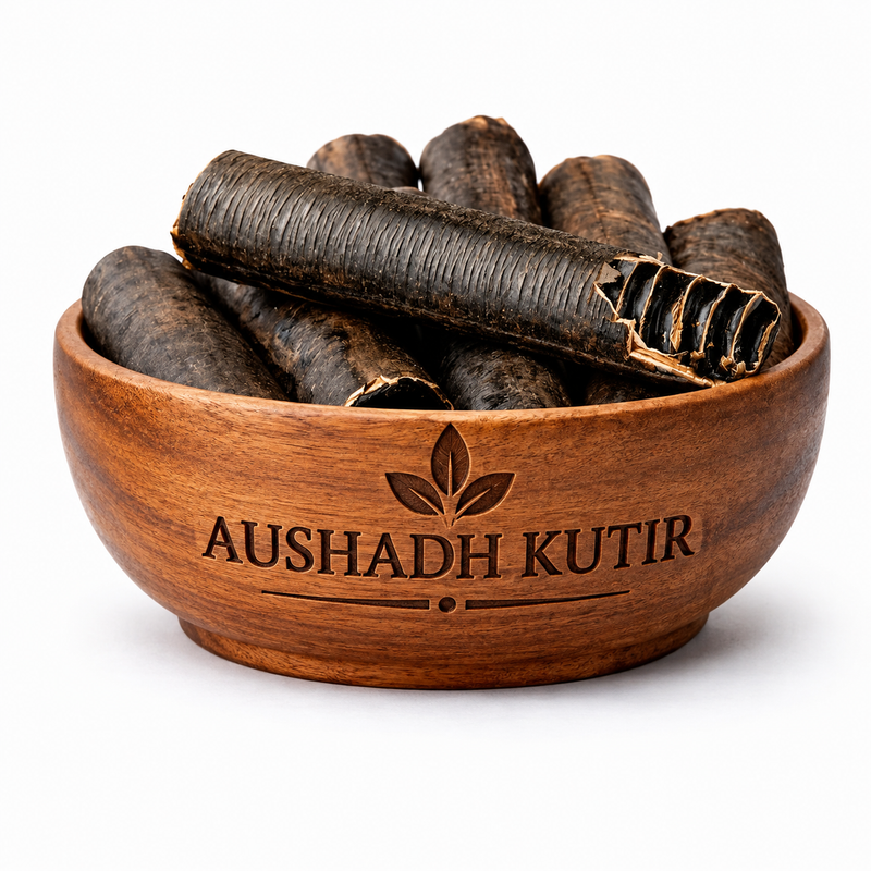 Amaltas Phali – Amaltas Pod | Golden Shower Tree Pod | Cassia fistula | Amaltaas Fali