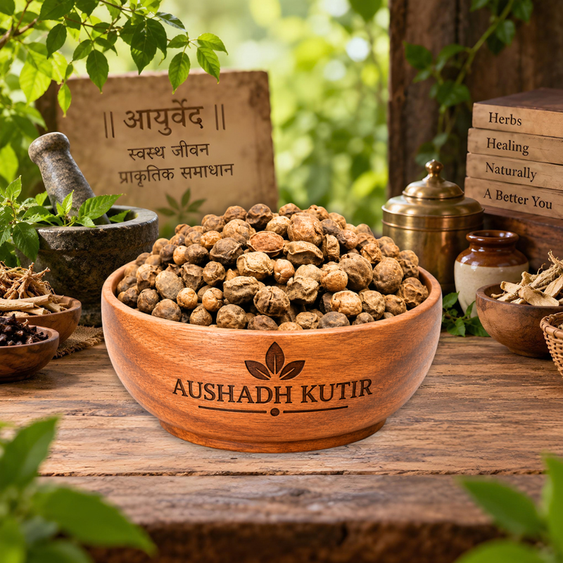 Ankol Phal – Ankol Fruit | Alangium salviifolium | Ankol Whole Fruit | Ayurvedic Raw Herbal Fruit