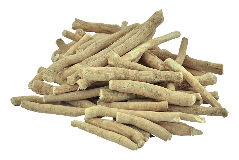 Ashwagandha Root – Asgandh Nagori (Withania somnifera)