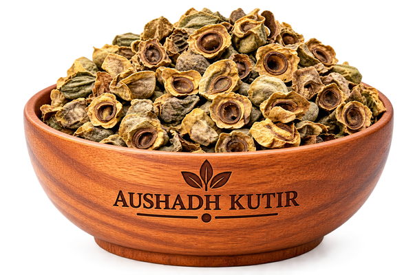 Bay Khumba – Careya arborea | Vakumbha | Kumbhi | Baikhumba | Ayurvedic Raw Herb