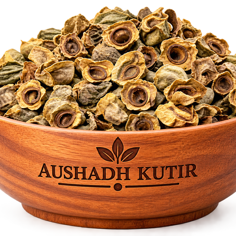 Bay Khumba – Careya arborea | Vakumbha | Kumbhi | Baikhumba | Ayurvedic Raw Herb