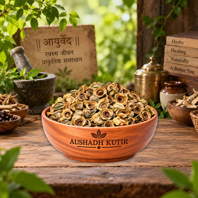 Bay Khumba – Careya arborea | Vakumbha | Kumbhi | Baikhumba | Ayurvedic Raw Herb
