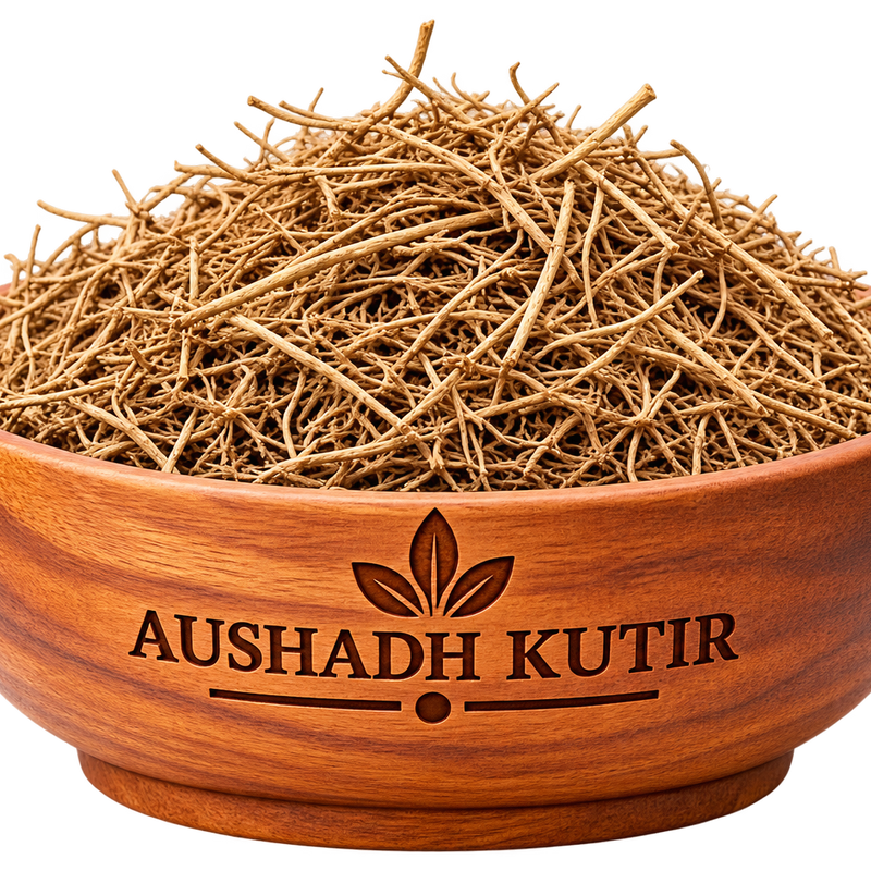 Bhumi Amla – Bhoi Amli | Chanca Piedra | Phyllanthus niruri | Ayurvedic Raw Herbal Herb