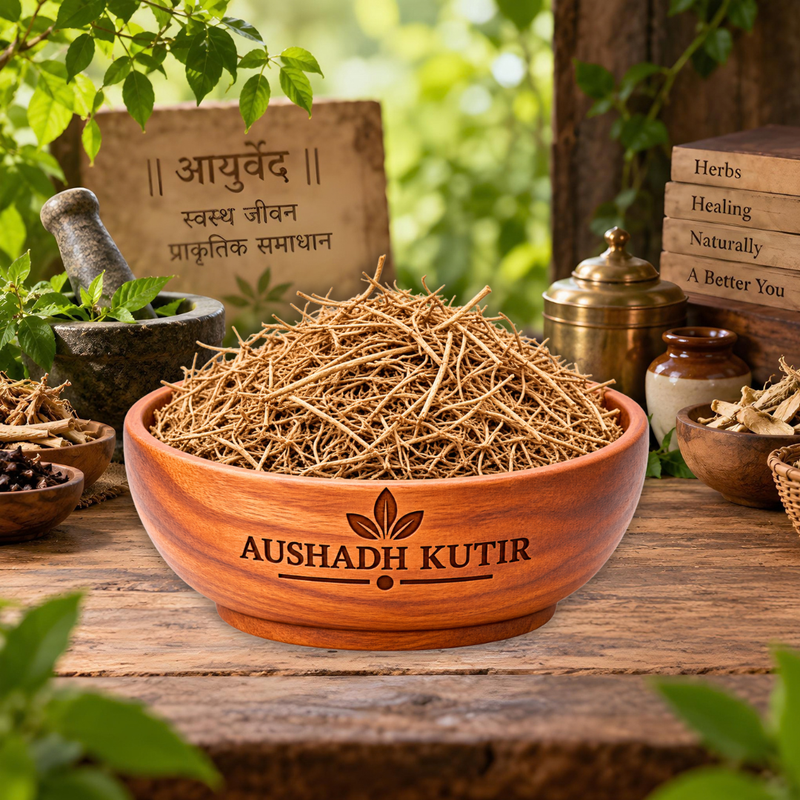 Bhumi Amla – Bhoi Amli | Chanca Piedra | Phyllanthus niruri | Ayurvedic Raw Herbal Herb