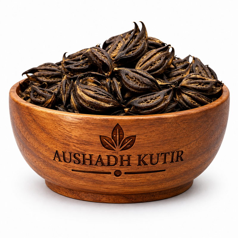 Bichhu Phal – Devil’s Claw | Bicchu Phal | Baghnakh | Martynia annua | Natural Ayurvedic Raw Herb