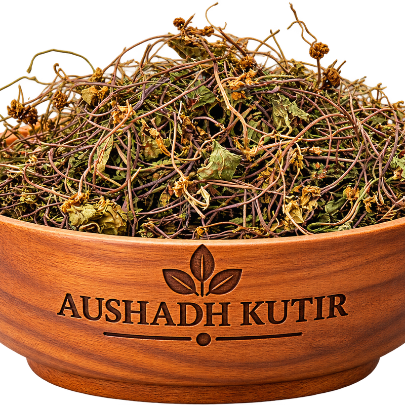 Brahmi – Centella asiatica | Indian Pennywort | Gotu Kola | Mandukaparni | Raw Ayurvedic Herb