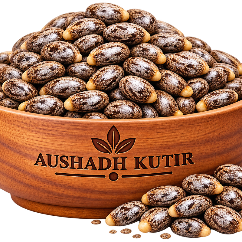 Castor Seeds – Ricinus communis | Arandi Beej | Castor Bean Seeds | Dried Raw Ayurvedic Seeds