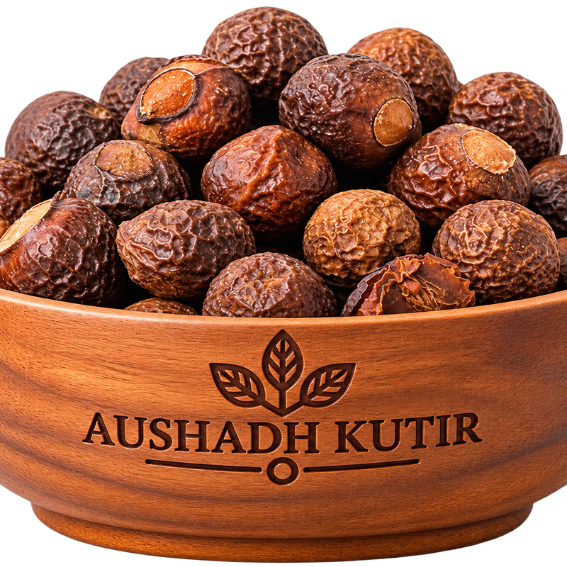 Reetha Whole – Soap Nut | Sapindus mukorossi | Reetha Fruit | Aritha | Natural Herbal Cleanser | Whole Dried Botanical Fruit Material