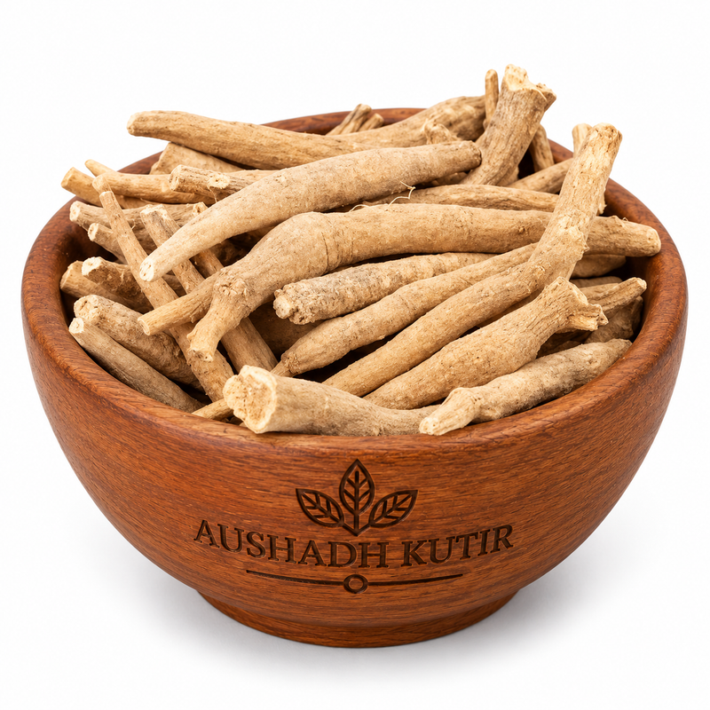 Ashwagandha Root – Asgandh Nagori (Withania somnifera)