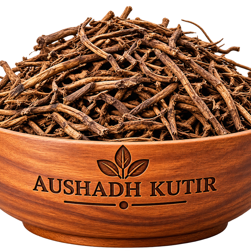 Chitrak Bark – Chitraka Chhal | Plumbago indica | Chitrak Root Bark | Natural Ayurvedic Herbal Bark