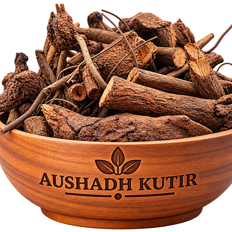 Chitrak Root – Chitraka Mool | Plumbago indica | Chitrak Roots | Natural Ayurvedic Herbal Root