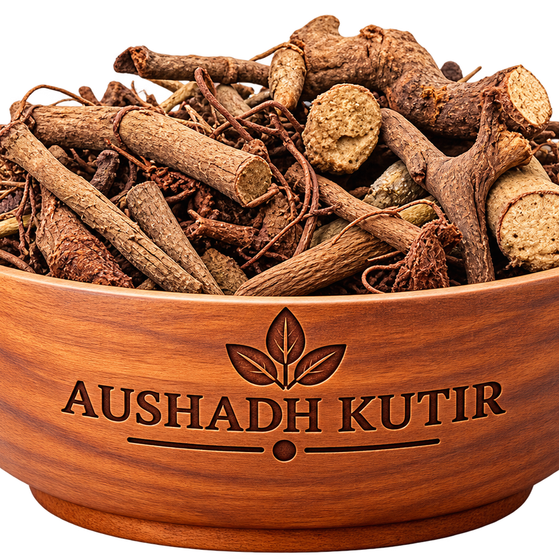 Dantimool – Danti Mool | Danti Root | Wild Castor Root | Baliospermum montanum | Natural Dried Ayurvedic Herb