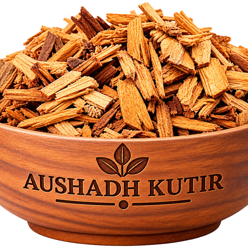 Devdar – Deodar Wood | Cedar Wood | Himalayan Deodar Lakdi | Cedrus deodara | 100% Natural Ayurvedic Wood