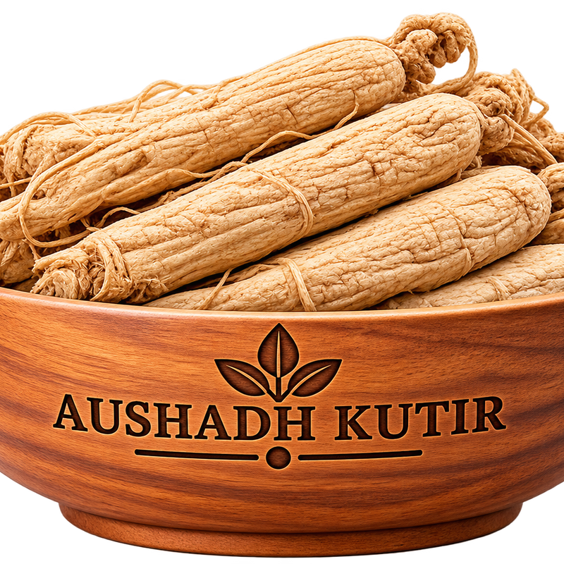 Ginseng Root – Panax Ginseng | Natural Ginseng Root | Dried Ginseng Root | Premium Ayurvedic Herbal Raw Material