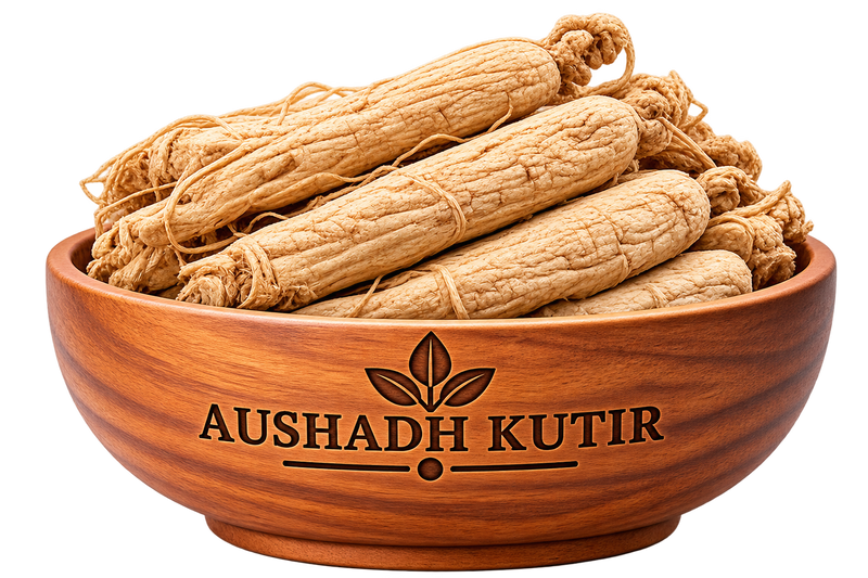 Ginseng Root – Panax Ginseng | Natural Ginseng Root | Dried Ginseng Root | Premium Ayurvedic Herbal Raw Material