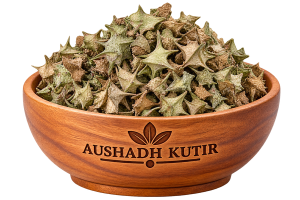 Gokhru – Gokshura Seeds | Pedalium murex | Bada Gokhru | Caltrops Seeds | Natural Dried Ayurvedic Herb