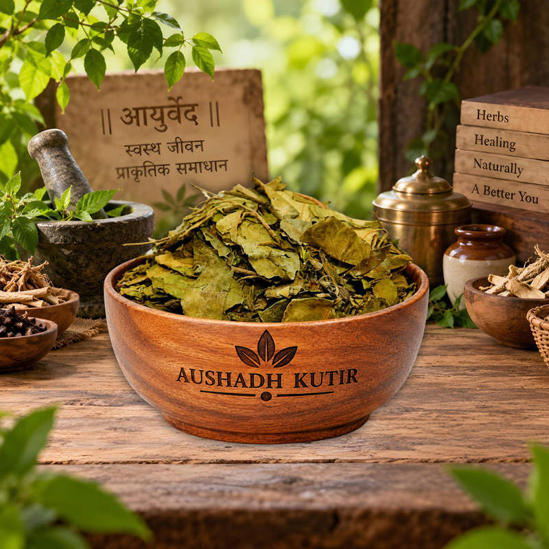 Gudmar – Gurmar | Gymnema sylvestre | Madhunashini | Periploca of the Woods | Natural Dried Ayurvedic Herb | Herbal Raw Material