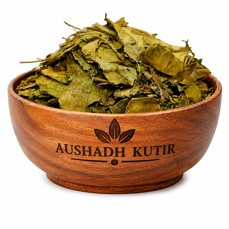 Gudmar – Gurmar | Gymnema sylvestre | Madhunashini | Periploca of the Woods | Natural Dried Ayurvedic Herb | Herbal Raw Material