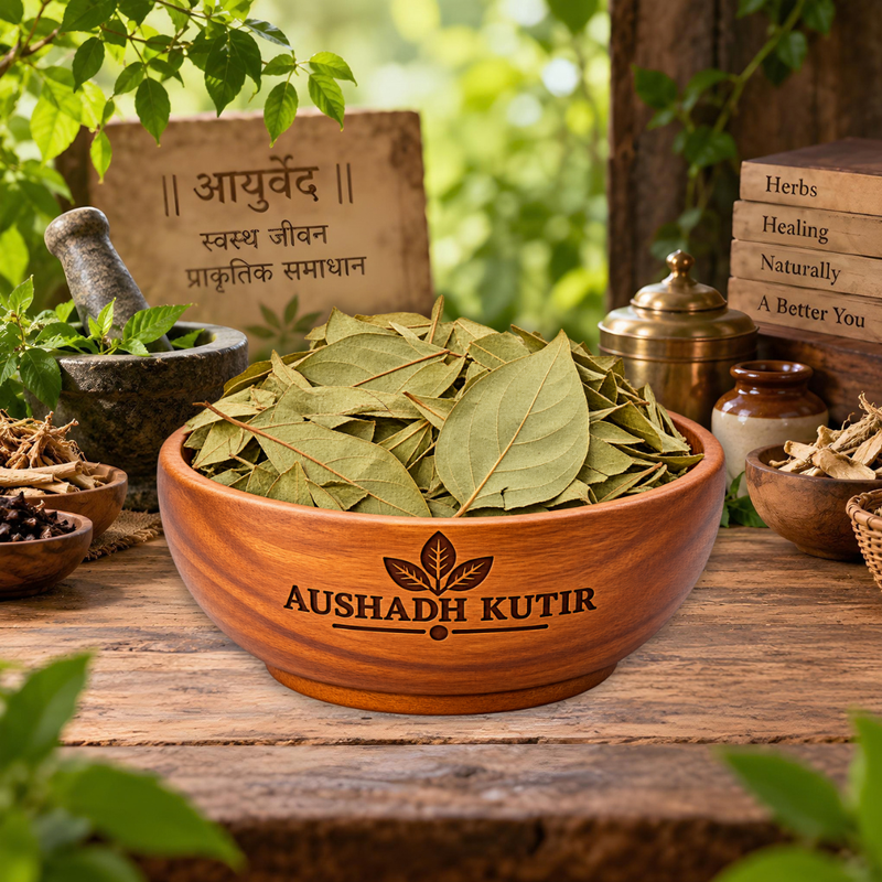 Parijatak Pan – Harshringar Leaves | Nyctanthes arbor-tristis | Night-Flowering Jasmine Leaves | Natural Dried Herbal Leaves | Ayurvedic Raw Herb