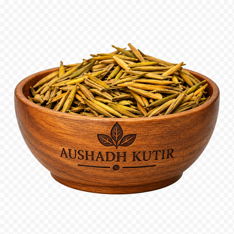 Indrajav Meetha – Sweet Indrajau Seeds | Holarrhena pubescens | Kurchi Seeds | Indrajav Beej | Natural Dried Ayurvedic Seeds | Traditional Herbal Raw Material