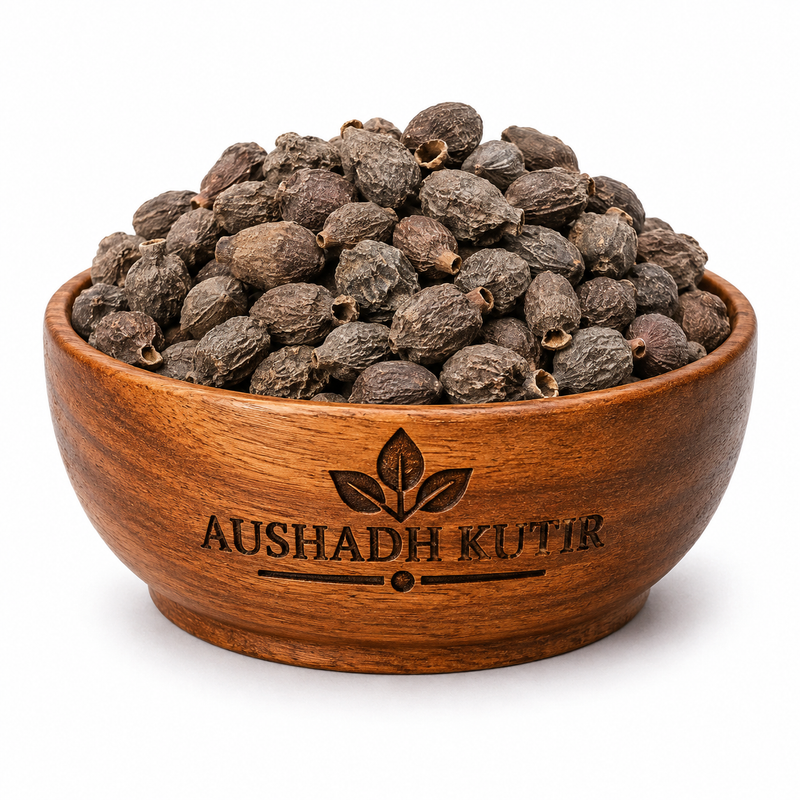 Jamun Guthali – Jamun Seeds | Syzygium cumini | Black Plum Seeds | Java Plum Seeds | Natural Dried Ayurvedic Herbal Raw Material