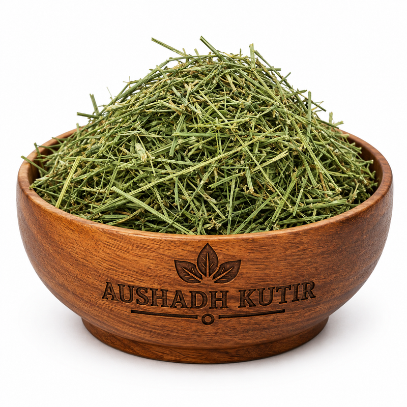 Kalmegh – Kalmegh Herb | Andrographis paniculata | Green Chiretta | Bhuminimb | Natural Dried Ayurvedic Herb | Traditional Herbal Raw Material