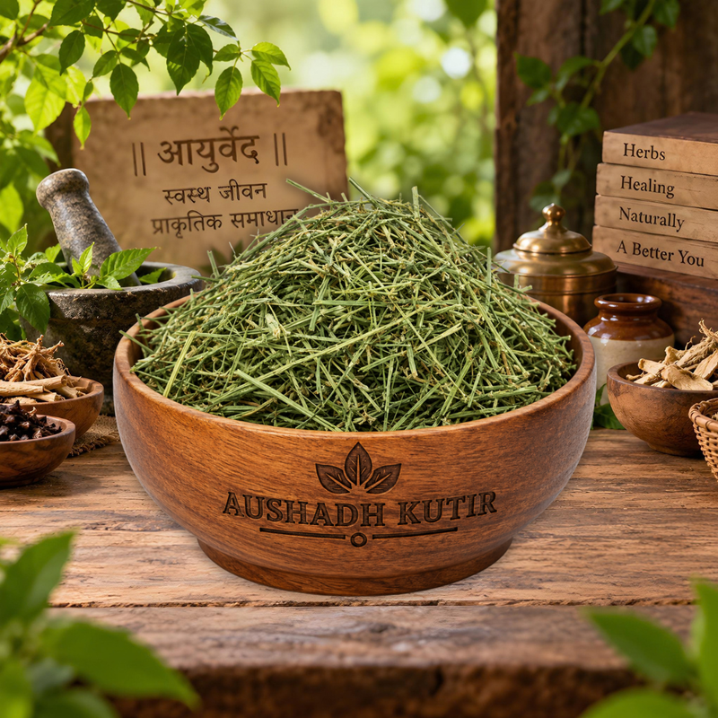Kalmegh – Kalmegh Herb | Andrographis paniculata | Green Chiretta | Bhuminimb | Natural Dried Ayurvedic Herb | Traditional Herbal Raw Material