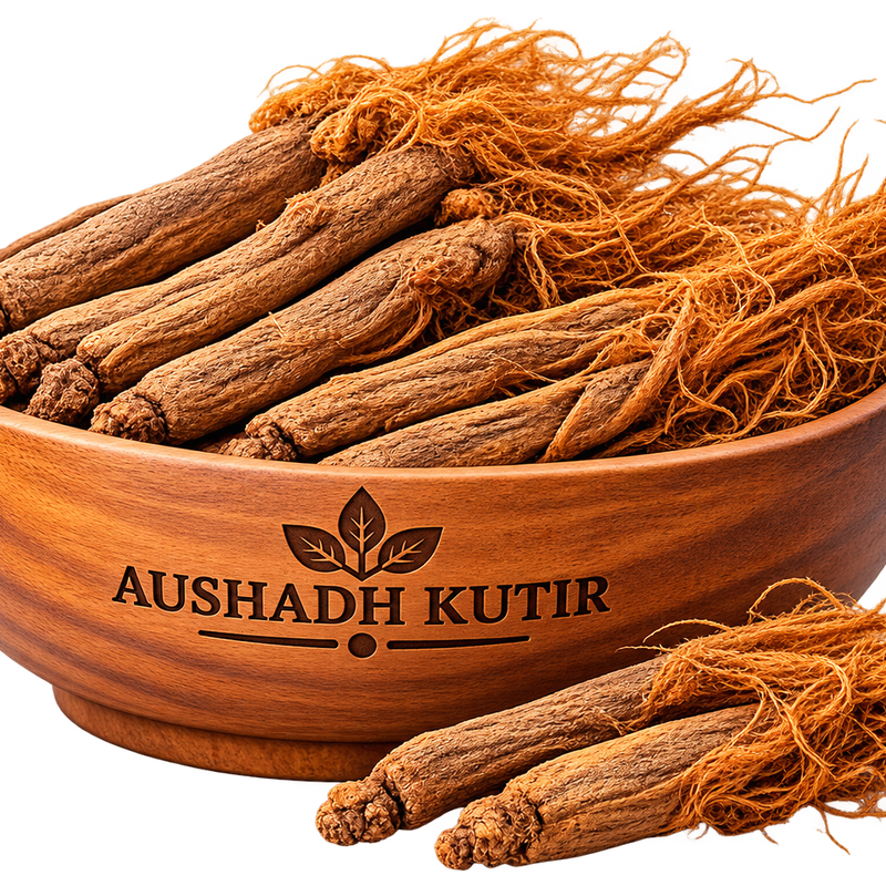 Korean Red Ginseng – Korean Red Ginseng Root | Panax ginseng | Premium Dried Ginseng | Traditional Herbal Raw Material