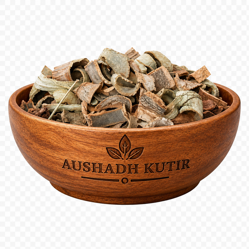 Kuda Chhal – Kutaj Chaal | Holarrhena antidysenterica | Kutaja Bark | Kurchi Bark | Natural Dried Ayurvedic Herbal Bark | Traditional Herbal Raw Material