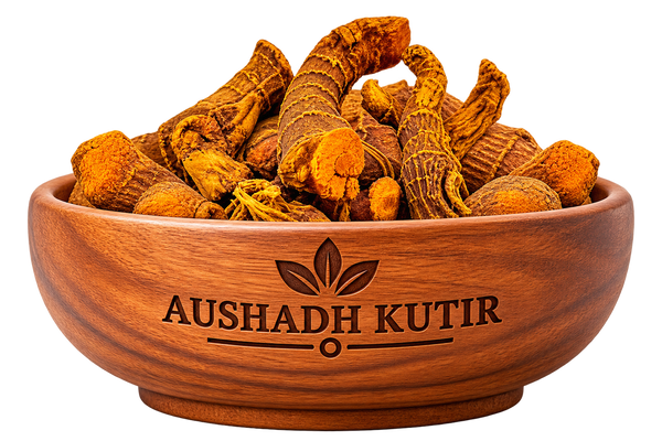 Kulanjan – Kulanjan Root | Kulinjan | Alpinia galanga | Galangal Root | Wild Dried Ayurvedic Herb | Natural Herbal Raw Material