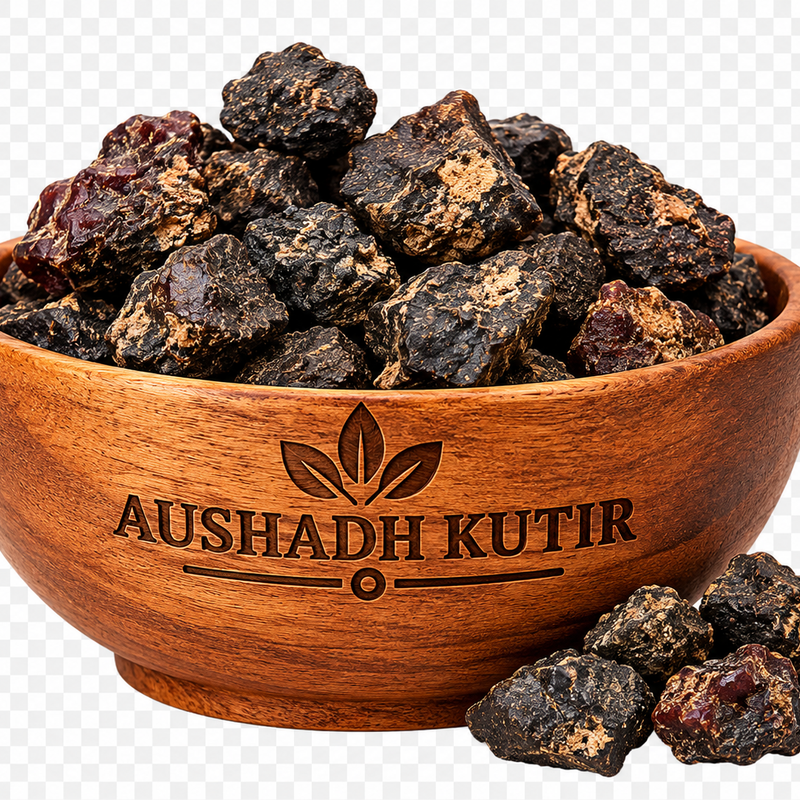 Mochras Herb – Mochras | Sal Tree Resin | Shorea robusta | Natural Dried Ayurvedic Herbal Raw Material