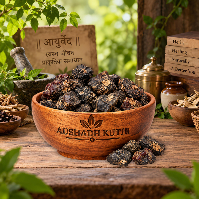 Mochras Herb – Mochras | Sal Tree Resin | Shorea robusta | Natural Dried Ayurvedic Herbal Raw Material