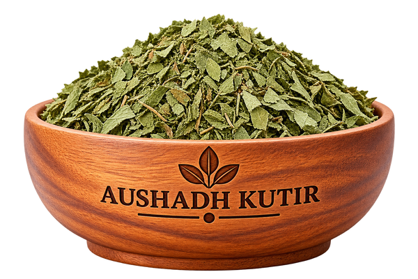 Neem Leaves – Neem Ki Patti | Azadirachta indica | Natural Dried Neem Leaves | Ayurvedic Herbal Raw Material