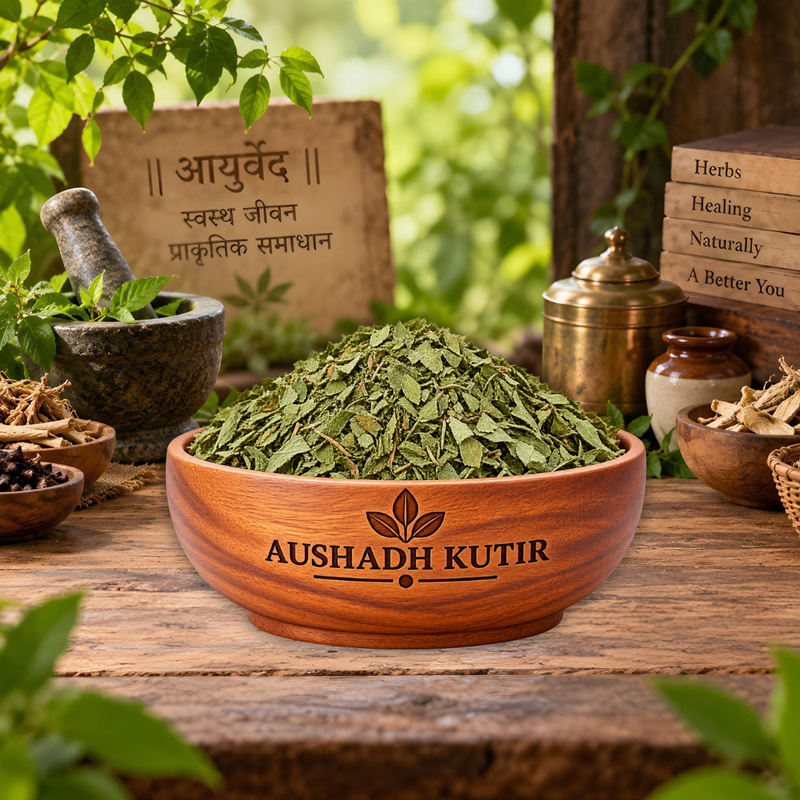 Neem Leaves – Neem Ki Patti | Azadirachta indica | Natural Dried Neem Leaves | Ayurvedic Herbal Raw Material