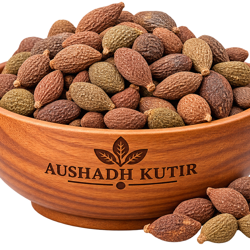Niranjan Phal – Niranjan Fruit | Nyctanthes arbor-tristis | Natural Dried Herbal Fruit | Ayurvedic Raw Herb