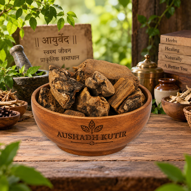 Revanchini Lakdi Whole – Rewand Chini Root | Revand Jadd | Rheum emodi | Rhubarb Root | Revanchini Root | Whole Dried Botanical Root Material