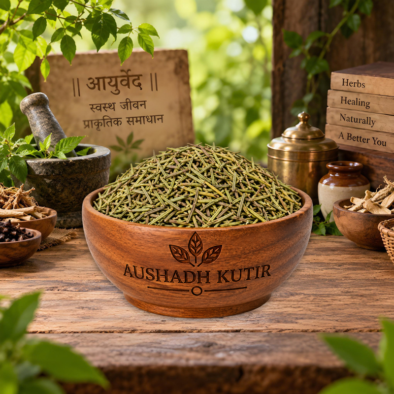 Rosemary Leaves Whole – Rosmarinus officinalis | Rosemary Herb | Whole Dried Rosemary Leaves | Premium Culinary Herb | Natural Dried Herb Ingredient