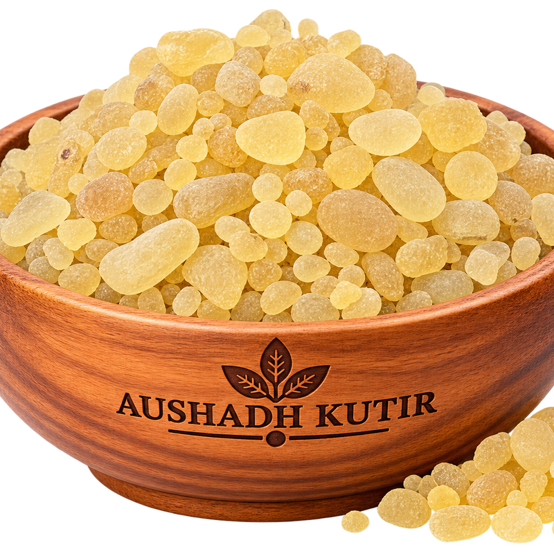 Rumi Mastagi Whole – Mastangi | Mastic Gum | Pistacia lentiscus Resin | Natural Mastic Resin Crystals | Premium Botanical Resin Material