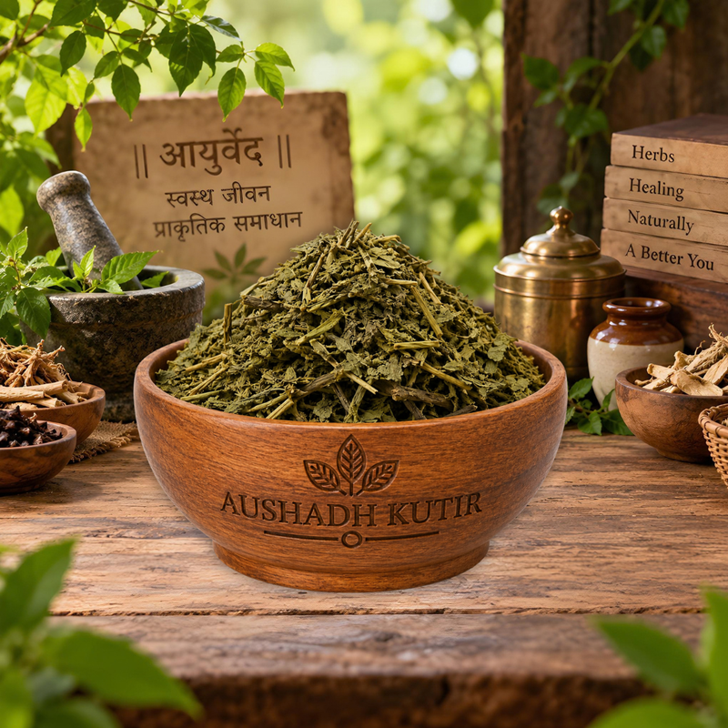 Sadabahar Leaves Whole – Periwinkle Leaves | Vinca rosea | Sadabahar Patta | Whole Dried Botanical Leaves | Premium Herbal Raw Material