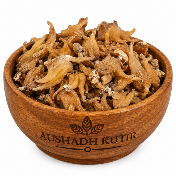 Salam Panja Whole – Salab Panja | Marsh Orchid Root | Salep Root | Salam Panja Root | Whole Dried Botanical Root | Premium Herbal Raw Material