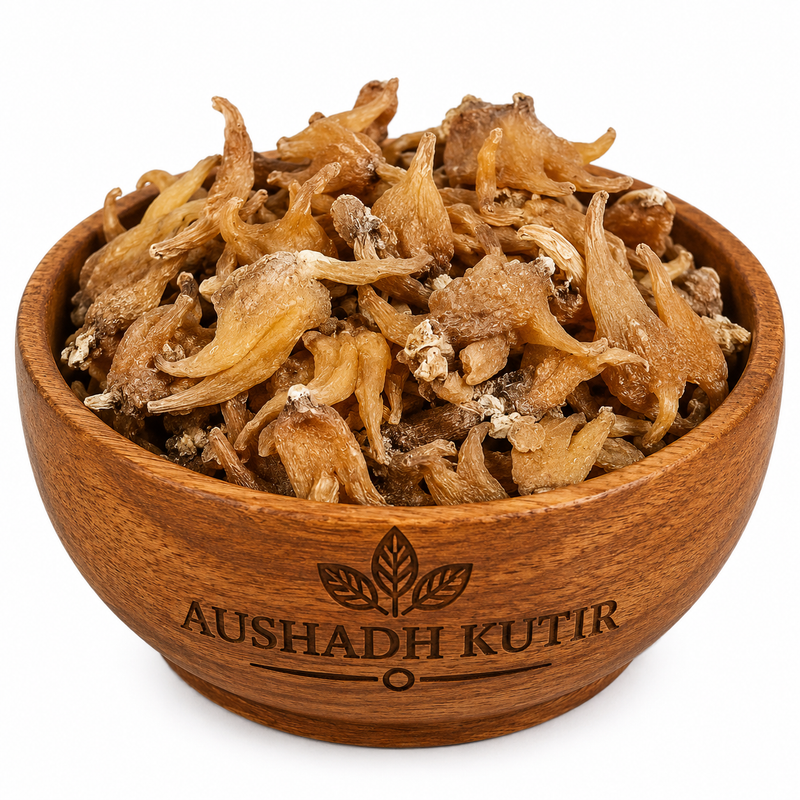Salam Panja Whole – Salab Panja | Marsh Orchid Root | Salep Root | Salam Panja Root | Whole Dried Botanical Root | Premium Herbal Raw Material