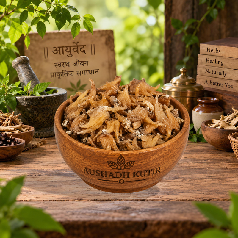 Salam Panja Whole – Salab Panja | Marsh Orchid Root | Salep Root | Salam Panja Root | Whole Dried Botanical Root | Premium Herbal Raw Material