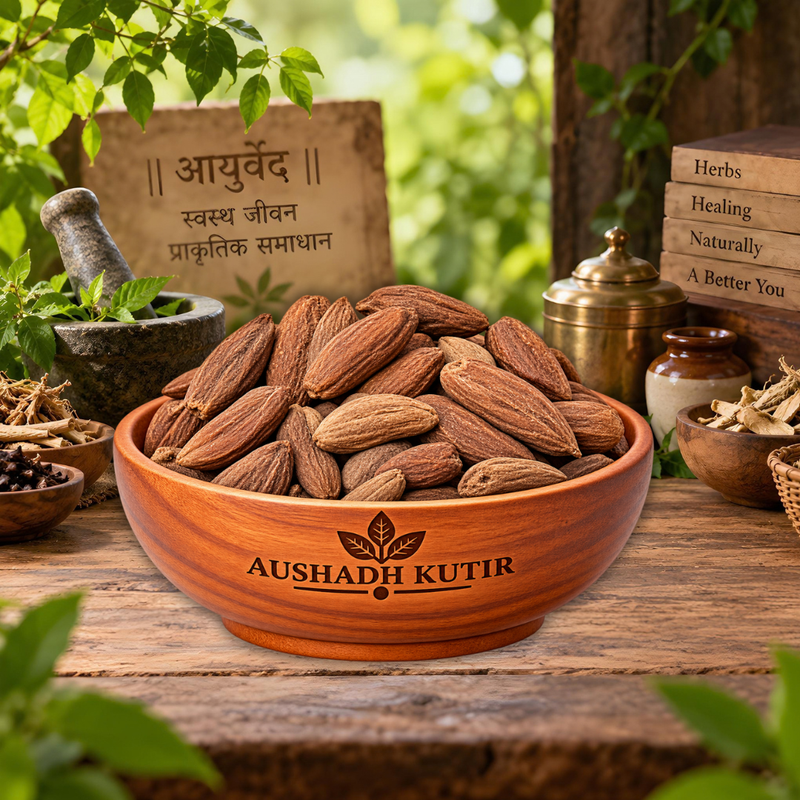 Samander Phal Whole – Samunder Fal | Samudra Fruit | Samander Phal | Whole Dried Botanical Fruit | Natural Herbal Raw Material | Premium Botanical Material