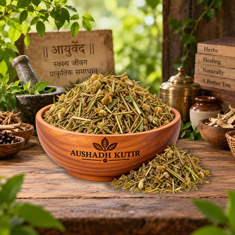 Shankhpushpi Whole – Shankhpushpi | Convolvulus pluricaulis | Morning Glory Herb | Whole Dried Shankhpushpi Herb | Premium Botanical Raw Material | Natural Dried Herbal Material