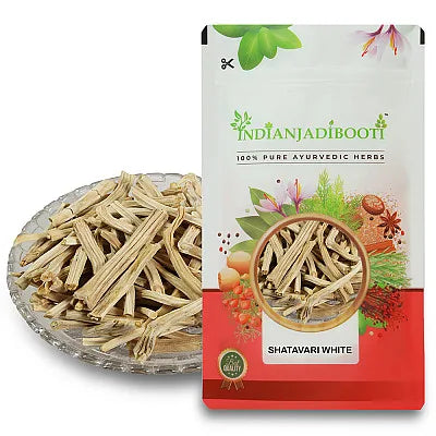 Shatavari Root (White) – Satavar (Asparagus racemosus)