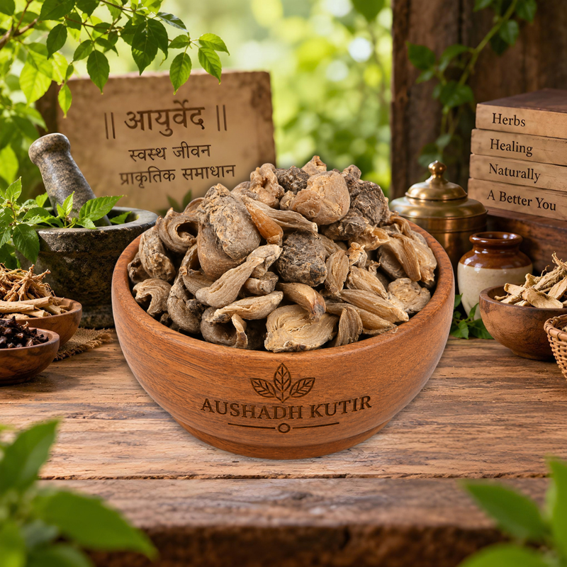 Shir Kakoli Root Whole – Kshir Kakoli | Ksheer Kakoli | Lilium polyphyllum Root | Shir Kakoli Root | Whole Dried Botanical Root | Premium Herbal Raw Material