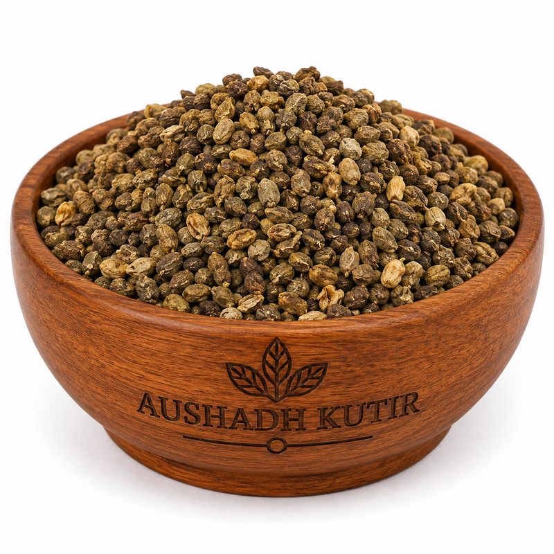Shivlingi Beej Whole – Shivlingi Seeds | Bryonopsis laciniosa Seeds | Lollipop Climber Seeds | Shivlingi Beej | Whole Dried Botanical Seeds | Premium Herbal Raw Material