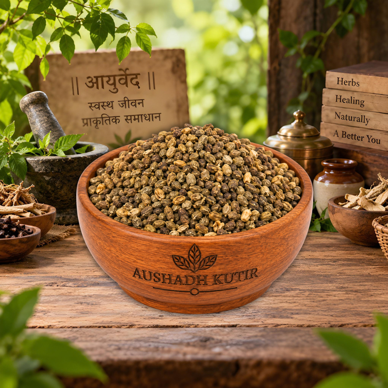 Shivlingi Beej Whole – Shivlingi Seeds | Bryonopsis laciniosa Seeds | Lollipop Climber Seeds | Shivlingi Beej | Whole Dried Botanical Seeds | Premium Herbal Raw Material